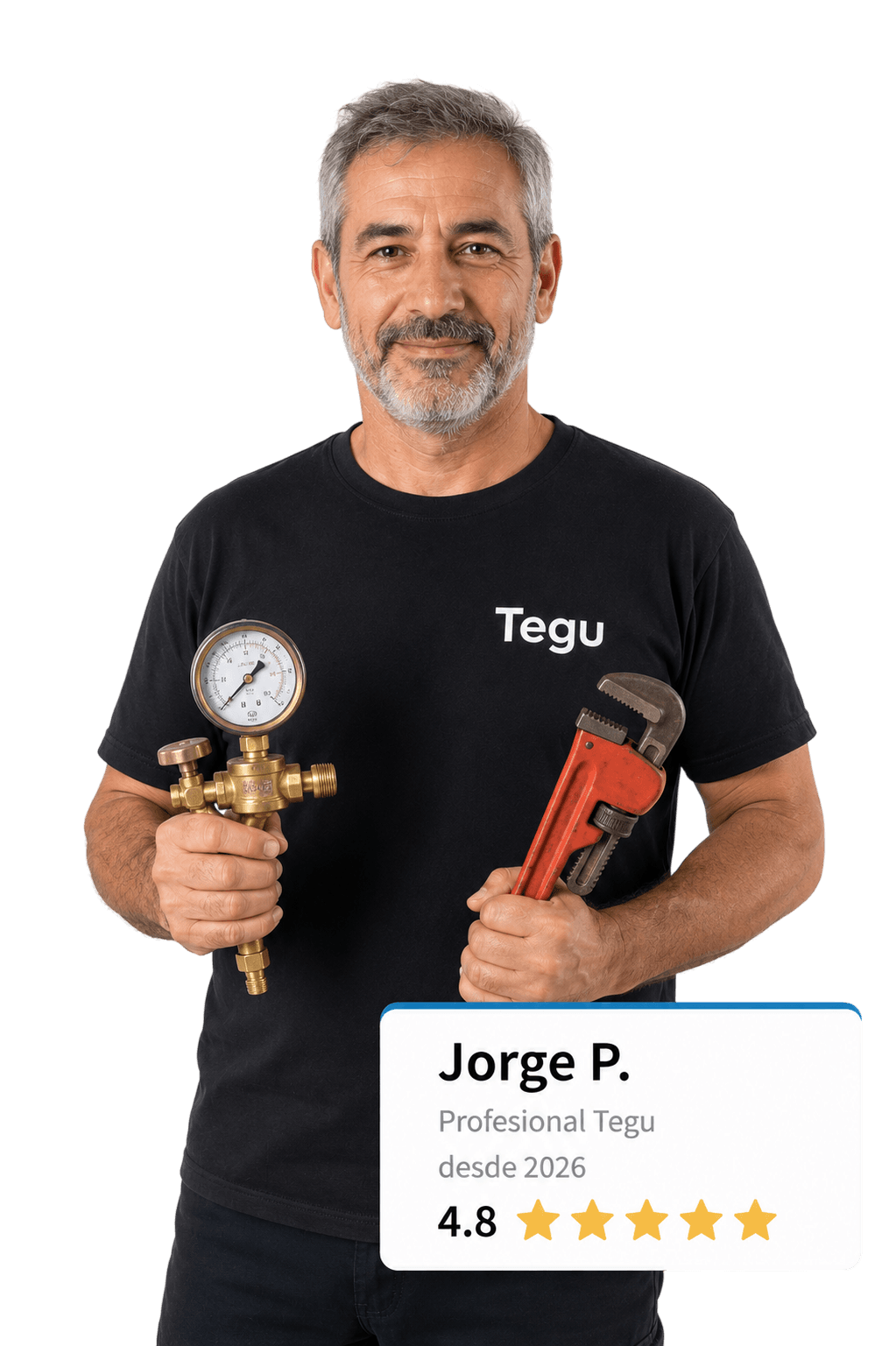 Profesional de gasistas verificado en Tegu