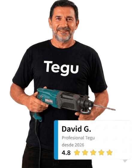 David G. — Profesional verificado en Tegu con calificación 4.8